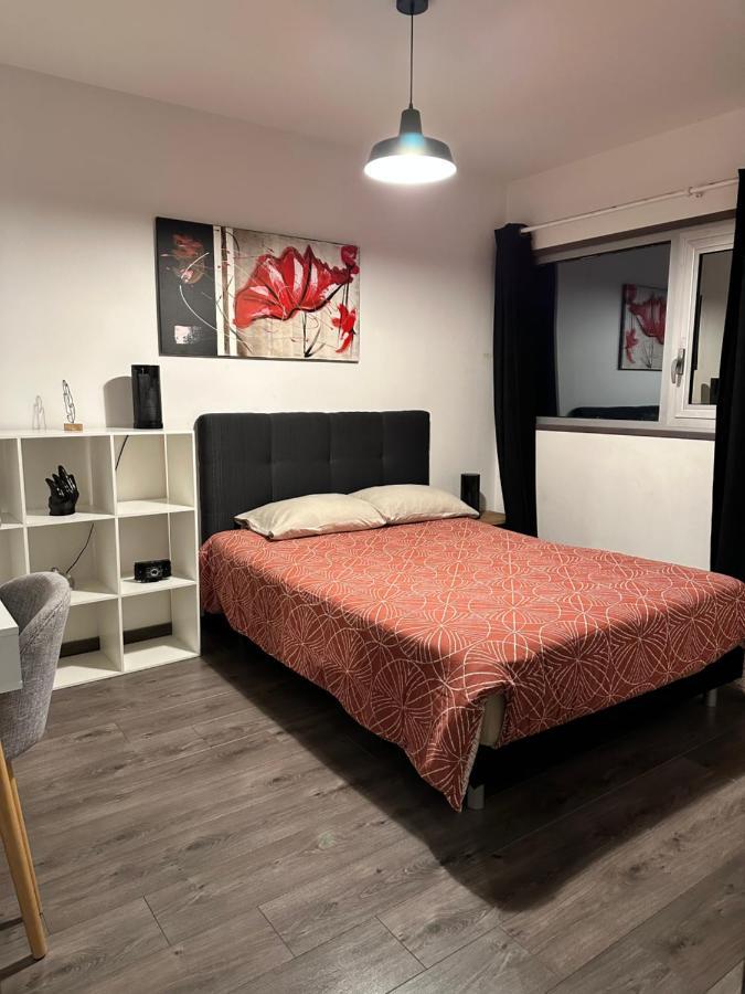 Apartamento Magnifique Loft - Hyper Centre Annemasse Exterior foto